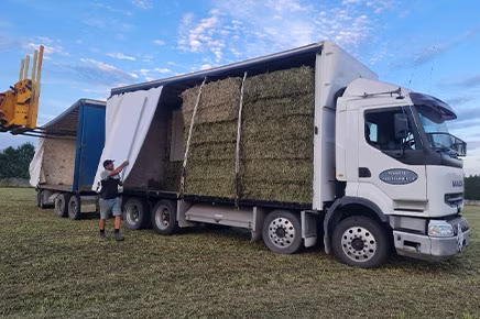 bale cartage bay of plenty