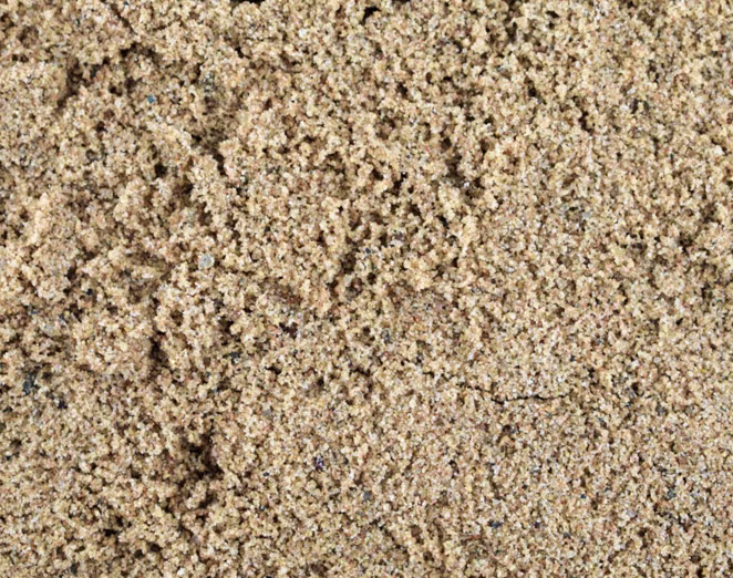 sand supply bay of plenty